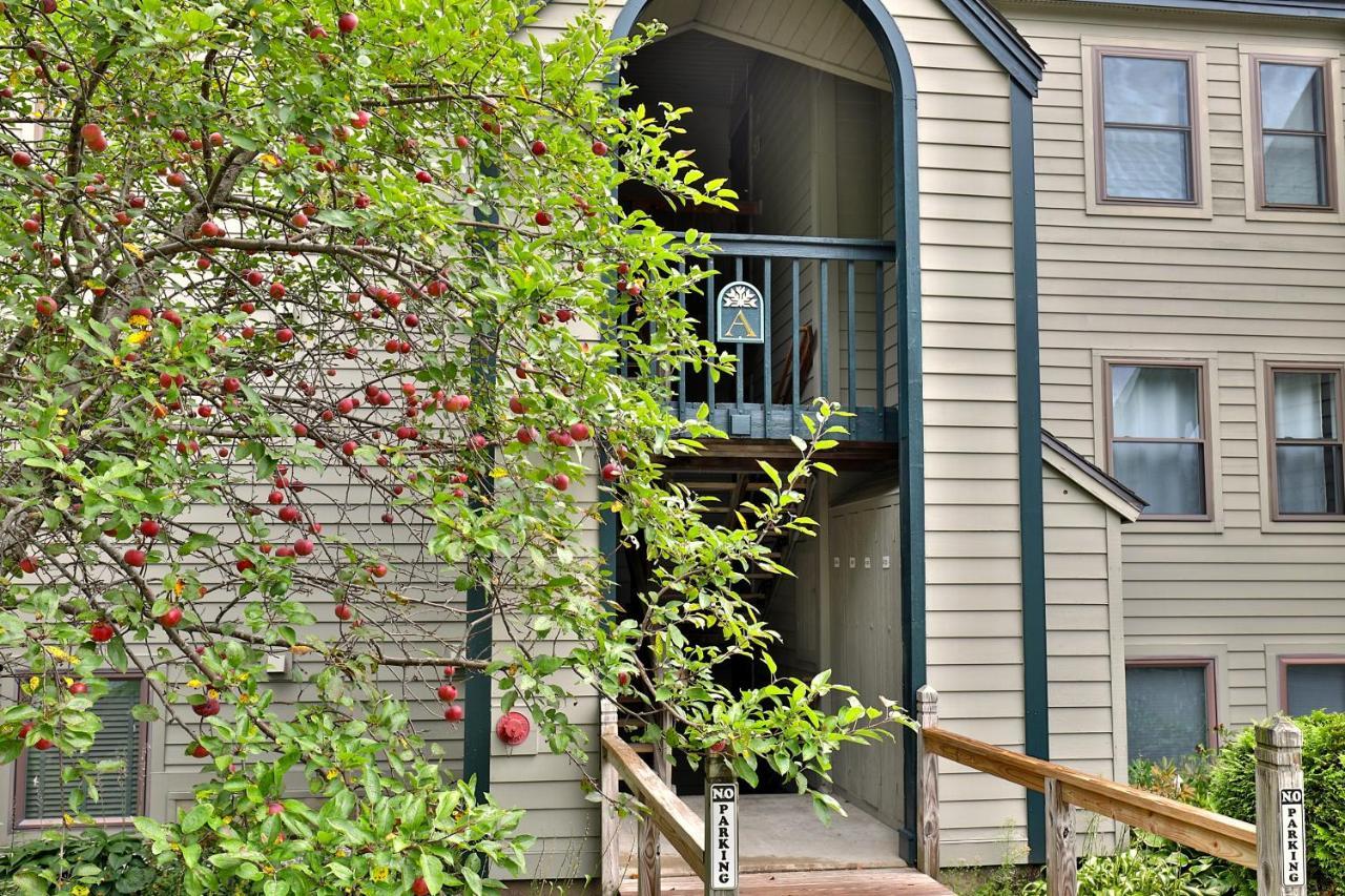 Winter Escape Apartment ลัดโลว์ ภายนอก รูปภาพ